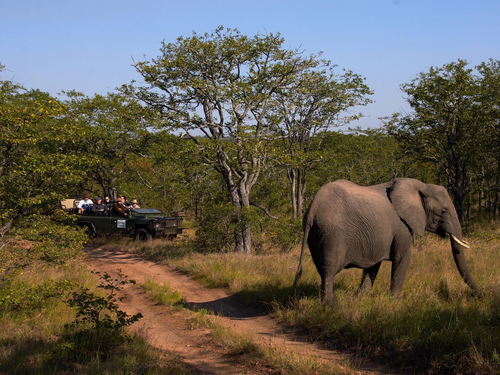 Shindzela Tented Camp Заповедник Тимбавати Экстерьер фото
