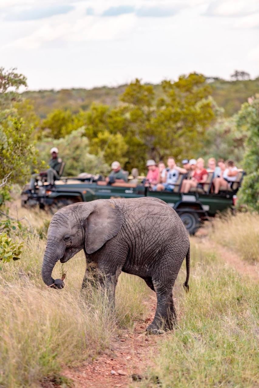 Shindzela Tented Camp Заповедник Тимбавати Экстерьер фото