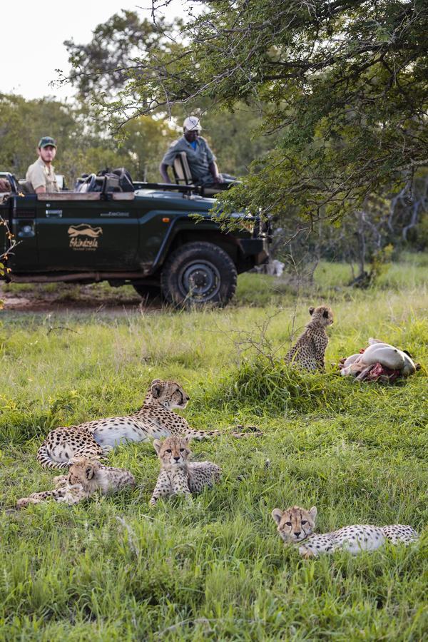 Shindzela Tented Camp Заповедник Тимбавати Экстерьер фото