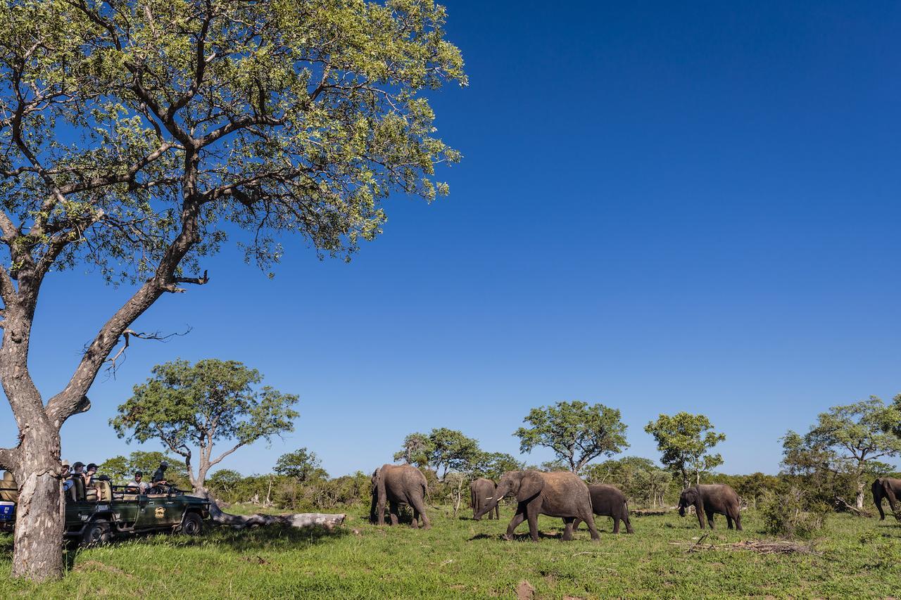 Shindzela Tented Camp Заповедник Тимбавати Экстерьер фото