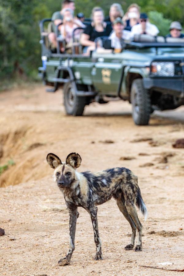 Shindzela Tented Camp Заповедник Тимбавати Экстерьер фото