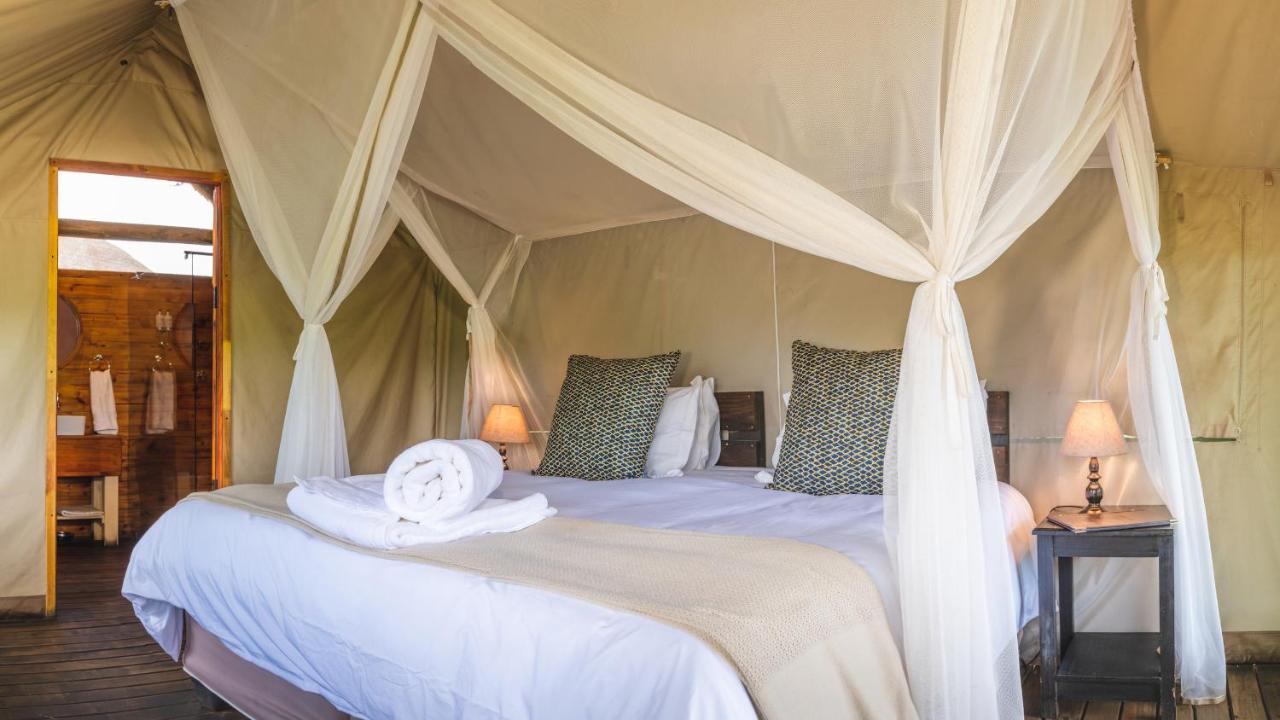Shindzela Tented Camp Заповедник Тимбавати Экстерьер фото